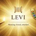 Levi Bible Meaning