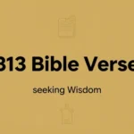 313 Bible Verse